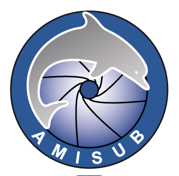 Logo AMISUB